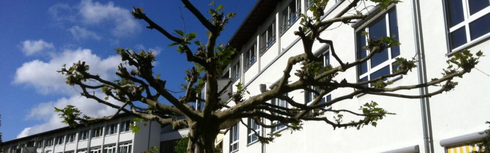 Zentrum für neurologische und orthopädische Rehabilitation